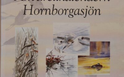 Akvarellkalendern Hornborgassjön