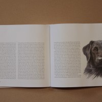 Hundboken 6