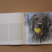 Hundboken 7