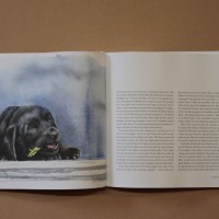 Hundboken 10