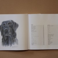 Hundboken 13